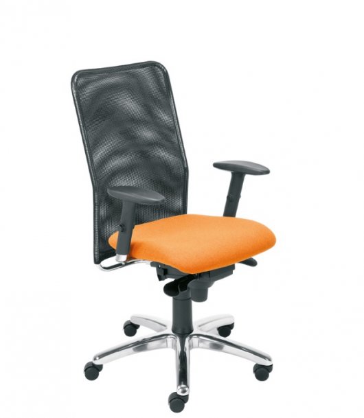 Židle kancelářská MONTANA R15G