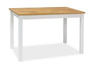 Stůl jídelní bílá mat/černá 100x60 ADAM
