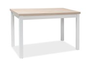 Stůl jídelní bílá mat/černá 100x60 ADAM
