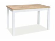 Stůl jídelní bílá mat 100x60 ADAM