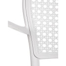Židle jídelní bílý plast CT-746 WT