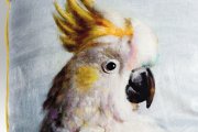 Polštář papoušek POL509