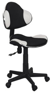 Židle kancelářská dětská černá/bílá Q-G2